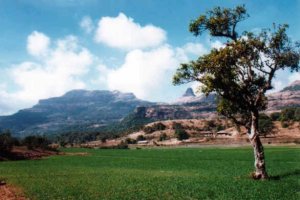 Ratangad as seen from Ratanwadi