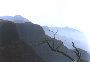 Panoramic view of the sahyadris