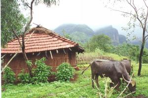 Pachhapur-Thakurwadi and Sudhgad