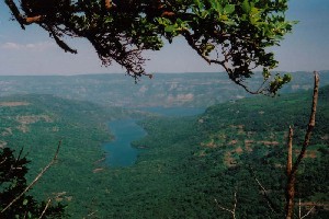 Dense forest cover around Vasota